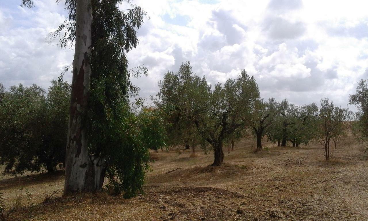 Poderi Di Tragliatella Екстериор снимка