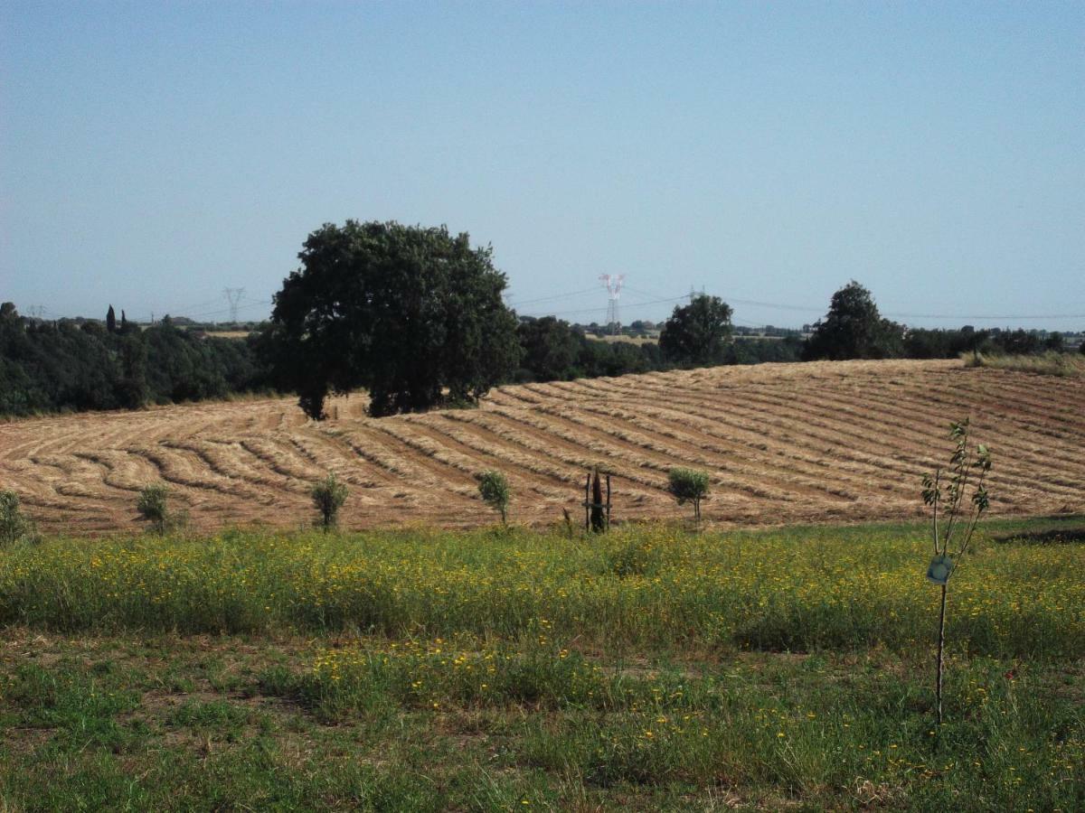 Poderi Di Tragliatella Екстериор снимка